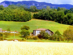 OKAMI DU VERCORS